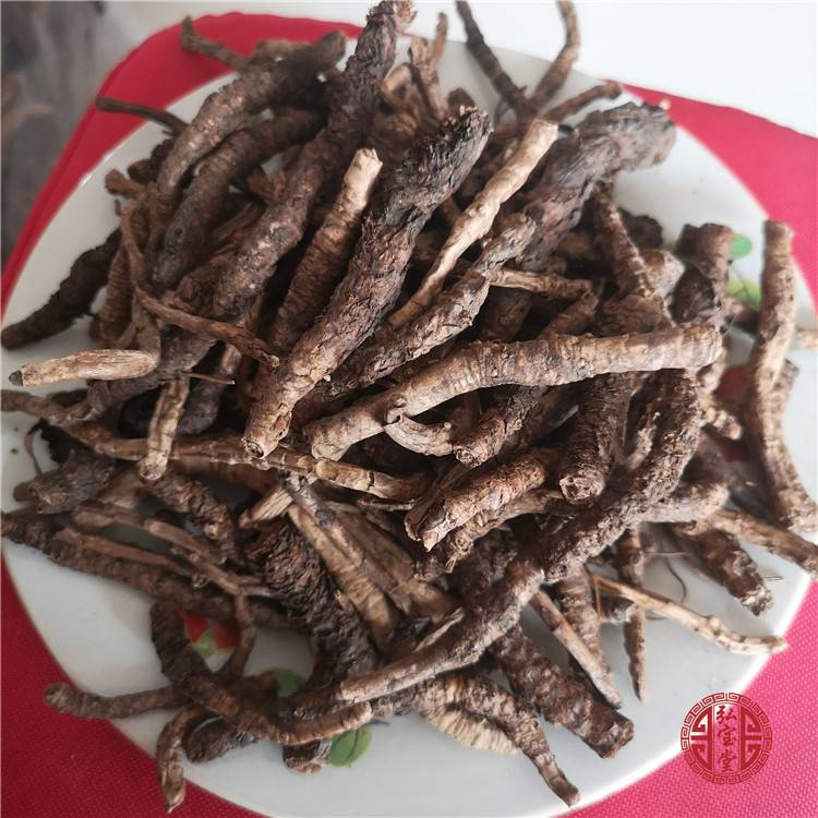 胡黄连批发价格多少钱一公斤？亳州祥刚中药材种植专业合作社为您解析